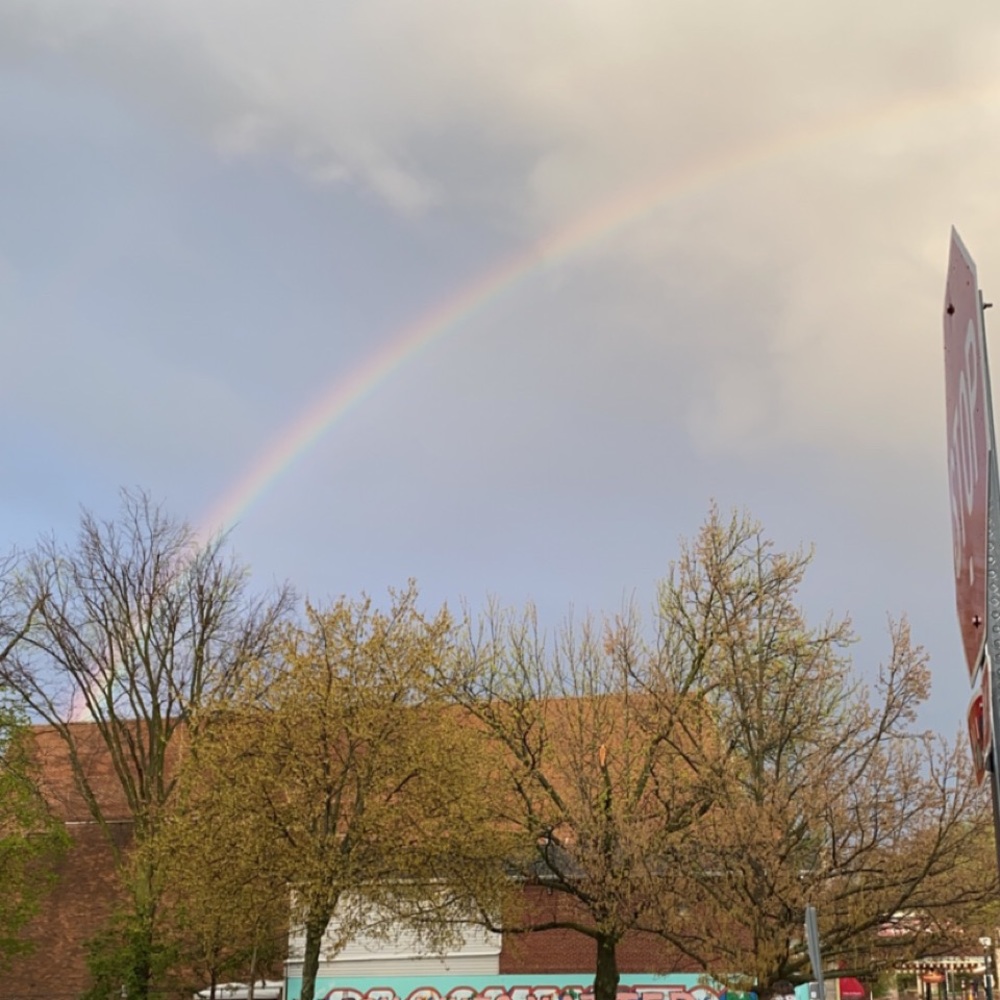 Meet your Posher, Lucy